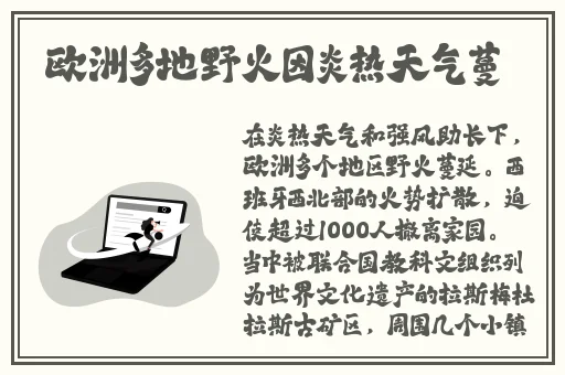 美女的大胸(不遮挡)照片